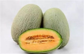 哈密瓜的功效（哈密瓜的功效与作用及营养）,哈密瓜的功效（哈密瓜的功效与作用及营养）,第3张