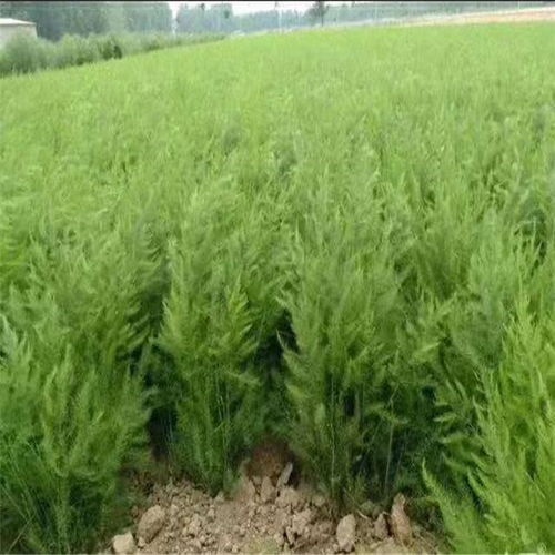 上海写字楼设计:揭秘武汉宜家的“营销之道”,第3张 上海写字楼设计:揭秘武汉宜家的“营销之道”,上海写字楼设计:揭秘武汉宜家的“营销之道”,第3张