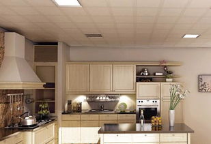 中国厨卫吊顶网(中国厨卫吊顶前十排行榜),第1张 中国厨卫吊顶网(中国厨卫吊顶前十排行榜),中国厨卫吊顶网(中国厨卫吊顶前十排行榜),第1张