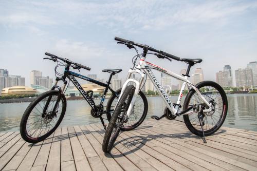 变速车(变速车变速技巧),第1张 变速车(变速车变速技巧),变速车(变速车变速技巧),第1张