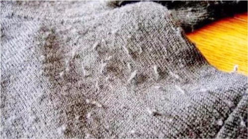 衣服上的铁锈怎么洗(衣服上铁锈渍怎么去除小窍门),第2张 衣服上的铁锈怎么洗(衣服上铁锈渍怎么去除小窍门),衣服上的铁锈怎么洗(衣服上铁锈渍怎么去除小窍门),第2张