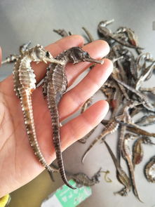 装饰设计:如何选择适合自己的电视挂架,打造完美视觉享受,第1张 装饰设计:如何选择适合自己的电视挂架,打造完美视觉享受,装饰设计:如何选择适合自己的电视挂架,打造完美视觉享受,第1张