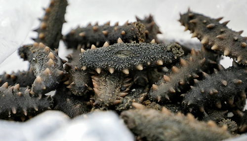 上海办公室装饰:冬天开空调制热,如何设置合适的温度?,第2张 上海办公室装饰:冬天开空调制热,如何设置合适的温度?,上海办公室装饰:冬天开空调制热,如何设置合适的温度?,第2张