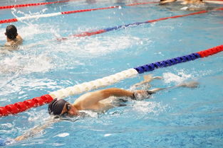 蝶泳的动作要领(蝶泳的动作要领和技巧),第3张 蝶泳的动作要领(蝶泳的动作要领和技巧),蝶泳的动作要领(蝶泳的动作要领和技巧),第3张