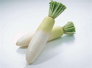 白萝卜的营养价值（白萝卜的营养价值及作用）,白萝卜的营养价值（白萝卜的营养价值及作用）,第1张