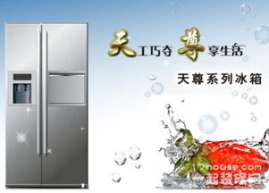 新飞冰柜报价（新飞冰柜质量怎么样啊）,新飞冰柜报价（新飞冰柜质量怎么样啊）,第3张