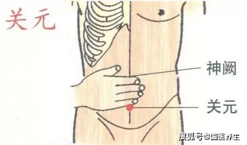 足三里的位置(足三里的位置及主治),第1张 足三里的位置(足三里的位置及主治),足三里的位置(足三里的位置及主治),第1张