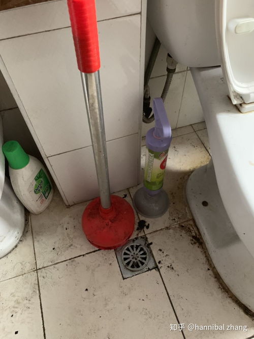 马桶堵了用什么通(马桶堵住了怎么疏通),第3张 马桶堵了用什么通(马桶堵住了怎么疏通),马桶堵了用什么通(马桶堵住了怎么疏通),第3张