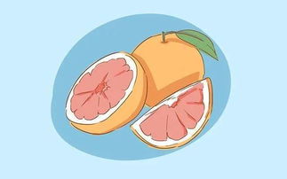 喝牛奶出色的卓越的优异的杰出的时间(孩子一天喝牛奶出色的卓越的优异的杰出的时间),第3张 喝牛奶出色的卓越的优异的杰出的时间(孩子一天喝牛奶出色的卓越的优异的杰出的时间),喝牛奶出色的卓越的优异的杰出的时间(孩子一天喝牛奶出色的卓越的优异的杰出的时间),第3张