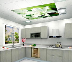 中国厨卫吊顶网(中国厨卫吊顶前十排行榜),第3张 中国厨卫吊顶网(中国厨卫吊顶前十排行榜),中国厨卫吊顶网(中国厨卫吊顶前十排行榜),第3张