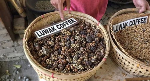 华鹏陶瓷(华鹏陶瓷是几线品牌吗),第1张 华鹏陶瓷(华鹏陶瓷是几线品牌吗),华鹏陶瓷(华鹏陶瓷是几线品牌吗),第1张