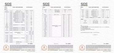 别墅装修：聚焦火灾安全，探究灭火器的品种与使用场景,别墅装修：聚焦火灾安全，探究灭火器的品种与使用场景,第2张