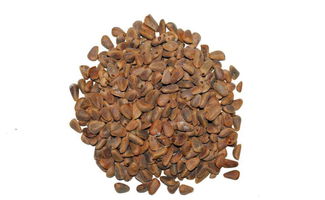 粉色房间(粉色房间背景图),第1张 粉色房间(粉色房间背景图),粉色房间(粉色房间背景图),第1张