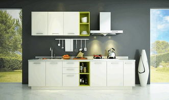 办公设计公司:如何鉴别巴西龟的性别?,第1张 办公设计公司:如何鉴别巴西龟的性别?,办公设计公司:如何鉴别巴西龟的性别?,第1张