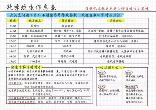 上海办公室装修公司：智能家居设备之王：全新吸尘机器人的横空出世！,上海办公室装修公司：智能家居设备之王：全新吸尘机器人的横空出世！,第2张