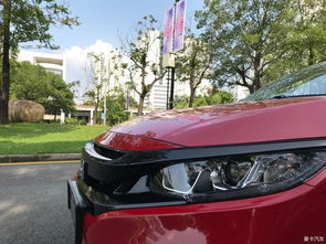 海星地垫(海星床垫),第2张 海星地垫(海星床垫),海星地垫(海星床垫),第2张