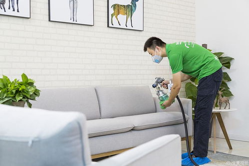 家里怎么快速除甲醛（家里怎么快速除甲醛最有效）,家里怎么快速除甲醛（家里怎么快速除甲醛最有效）,第1张