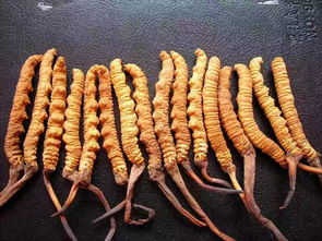 上海厂房装修：如何在家里制作顺滑细腻的咖啡奶泡？,上海厂房装修：如何在家里制作顺滑细腻的咖啡奶泡？,第2张