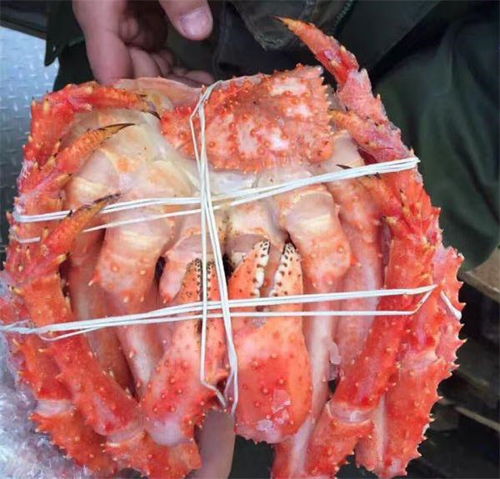 河南特岗教师报名入口官网(河南特岗教师报名入口官网幼儿园),第1张 河南特岗教师报名入口官网(河南特岗教师报名入口官网幼儿园),河南特岗教师报名入口官网(河南特岗教师报名入口官网幼儿园),第1张