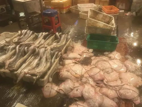 室内装修技巧(室内装修怎么装好看),第1张 室内装修技巧(室内装修怎么装好看),室内装修技巧(室内装修怎么装好看),第1张