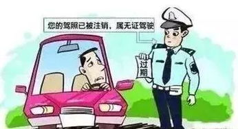 年审过期（年审过期怎么处罚）,年审过期（年审过期怎么处罚）,第2张