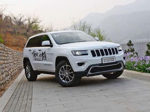 脚踏冲洗阀(脚踏冲洗阀安装图集),第2张 脚踏冲洗阀(脚踏冲洗阀安装图集),脚踏冲洗阀(脚踏冲洗阀安装图集),第2张