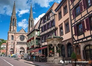 阿尔萨斯葡萄酒(阿尔萨斯葡萄酒之路),第3张 阿尔萨斯葡萄酒(阿尔萨斯葡萄酒之路),阿尔萨斯葡萄酒(阿尔萨斯葡萄酒之路),第3张