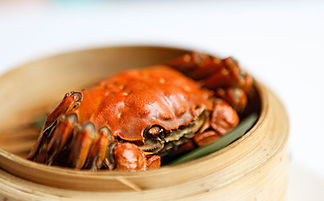 螃蟹怎么吃才正确(螃蟹要怎么吃才是正确的),第3张 螃蟹怎么吃才正确(螃蟹要怎么吃才是正确的),螃蟹怎么吃才正确(螃蟹要怎么吃才是正确的),第3张
