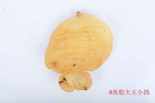 花胶鱼肚的烹饪方法(花胶鱼肚的功效与作用),第3张 花胶鱼肚的烹饪方法(花胶鱼肚的功效与作用),花胶鱼肚的烹饪方法(花胶鱼肚的功效与作用),第3张