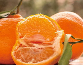 耙耙柑(耙耙柑功效与作用营养价值),第1张 耙耙柑(耙耙柑功效与作用营养价值),耙耙柑(耙耙柑功效与作用营养价值),第1张