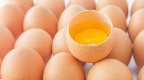 家常鸡蛋羹蒸多长时间(鸡蛋羹蒸多长时间合适),第1张 家常鸡蛋羹蒸多长时间(鸡蛋羹蒸多长时间合适),家常鸡蛋羹蒸多长时间(鸡蛋羹蒸多长时间合适),第1张