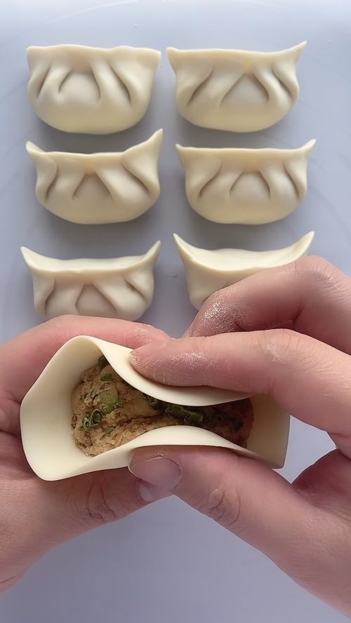 饺子最简单的包法图解（饺子最简单的包法图解 简单易学）,饺子最简单的包法图解（饺子最简单的包法图解 简单易学）,第1张