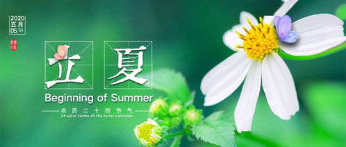 今年立夏是几月几日的简单介绍,第1张 今年立夏是几月几日的简单介绍,今年立夏是几月几日的简单介绍,第1张