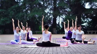 北京瑜珈(北京瑜伽教培学院哪家可靠),第1张 北京瑜珈(北京瑜伽教培学院哪家可靠),北京瑜珈(北京瑜伽教培学院哪家可靠),第1张