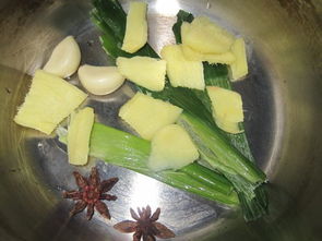 虾爬子怎么做好吃(虾爬子怎么做好吃 清蒸还是煮),第3张 虾爬子怎么做好吃(虾爬子怎么做好吃 清蒸还是煮),虾爬子怎么做好吃(虾爬子怎么做好吃 清蒸还是煮),第3张