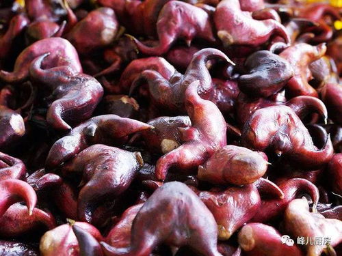 菱角怎么剥(菱角怎么剥去外壳),第3张 菱角怎么剥(菱角怎么剥去外壳),菱角怎么剥(菱角怎么剥去外壳),第3张