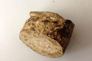 龙涎香的价格(龙涎香价格一般是多少钱),第1张 龙涎香的价格(龙涎香价格一般是多少钱),龙涎香的价格(龙涎香价格一般是多少钱),第1张