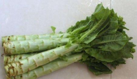 莴苣(莴苣图片),第2张 莴苣(莴苣图片),莴苣(莴苣图片),第2张