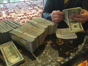 贴墙纸多少钱一平(杭州贴墙纸多少钱一平),第3张 贴墙纸多少钱一平(杭州贴墙纸多少钱一平),贴墙纸多少钱一平(杭州贴墙纸多少钱一平),第3张