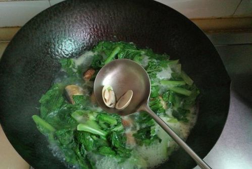 文蛤汤的做法的简单介绍,第2张 文蛤汤的做法的简单介绍,文蛤汤的做法的简单介绍,第2张