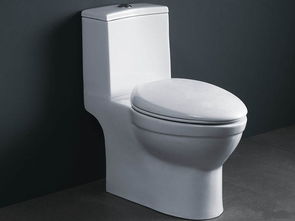 中国马桶靠前品牌（国内马桶品牌）,中国马桶靠前品牌（国内马桶品牌）,第3张