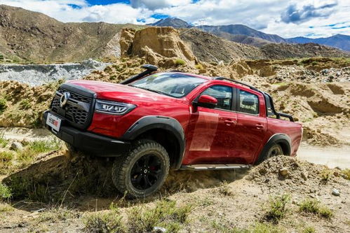 皮卡越野改装(皮卡越野改装图片),第2张 皮卡越野改装(皮卡越野改装图片),皮卡越野改装(皮卡越野改装图片),第2张