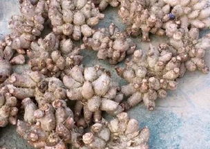 煲汤大全（鸡爪芋煲汤大全）,煲汤大全（鸡爪芋煲汤大全）,第2张