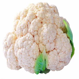 菜花的家常做法大全(菜花做法大全家常做法),第1张 菜花的家常做法大全(菜花做法大全家常做法),菜花的家常做法大全(菜花做法大全家常做法),第1张