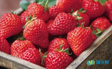 草莓的功效与作用(草莓的功效与作用及副作用),第3张 草莓的功效与作用(草莓的功效与作用及副作用),草莓的功效与作用(草莓的功效与作用及副作用),第3张