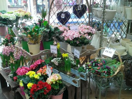 花店装修效果图（花店装修效果图 简单）,花店装修效果图（花店装修效果图 简单）,第2张