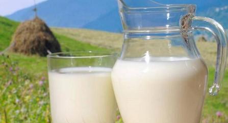 喝牛奶出色的卓越的优异的杰出的时间(孩子一天喝牛奶出色的卓越的优异的杰出的时间),第1张 喝牛奶出色的卓越的优异的杰出的时间(孩子一天喝牛奶出色的卓越的优异的杰出的时间),喝牛奶出色的卓越的优异的杰出的时间(孩子一天喝牛奶出色的卓越的优异的杰出的时间),第1张