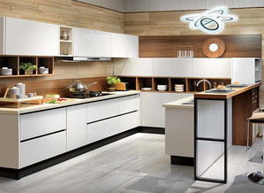 上海办公室设计装修:罕见的孔雀花瓣绽放奇迹,第2张 上海办公室设计装修:罕见的孔雀花瓣绽放奇迹,上海办公室设计装修:罕见的孔雀花瓣绽放奇迹,第2张