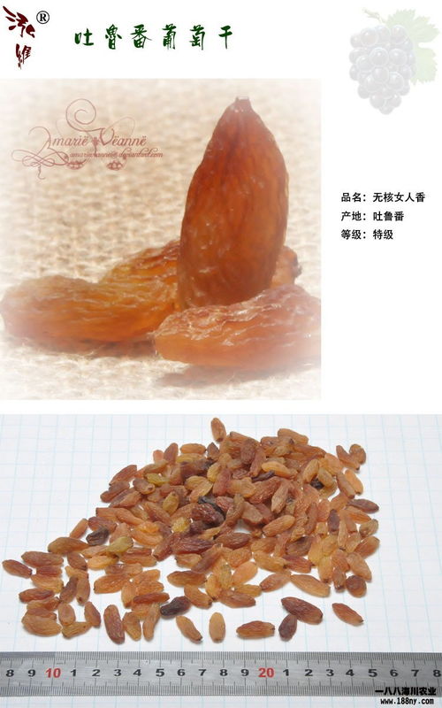 c51x(C51选择语句循环语句包含那些?),第2张 c51x(C51选择语句循环语句包含那些?),c51x(C51选择语句循环语句包含那些?),第2张