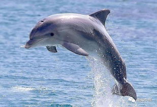 办公楼装修公司：星际风格顶装修，打造独一无二的太空梦,办公楼装修公司：星际风格顶装修，打造独一无二的太空梦,第3张